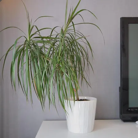 Apartamento Spot'in - Milsand